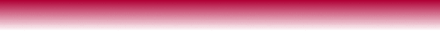 balken1.gif (4714 Byte)
